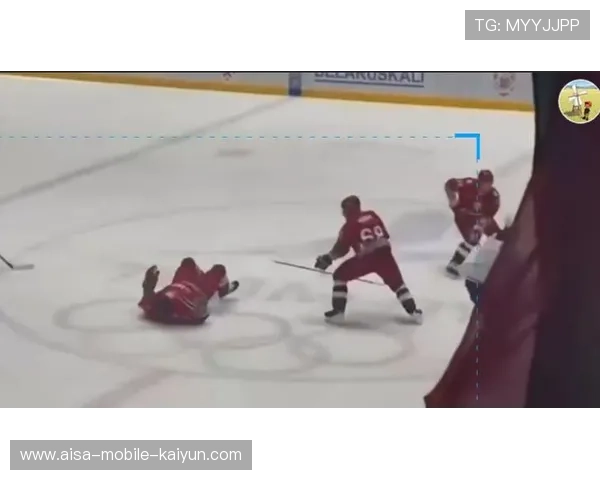 冰球选手飞身撞击护栏，观众尖叫