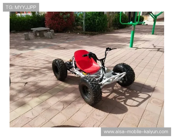 卡丁车新秀连续超车引发关注